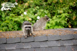 Critter Control® of Sanlando Springs
