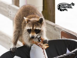 critter control of Windermere