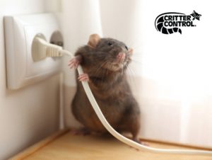 critter control of baldwin park